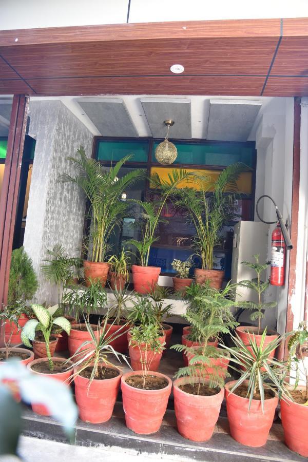 Hotel Royal Sunshine Dzsaipur Kültér fotó